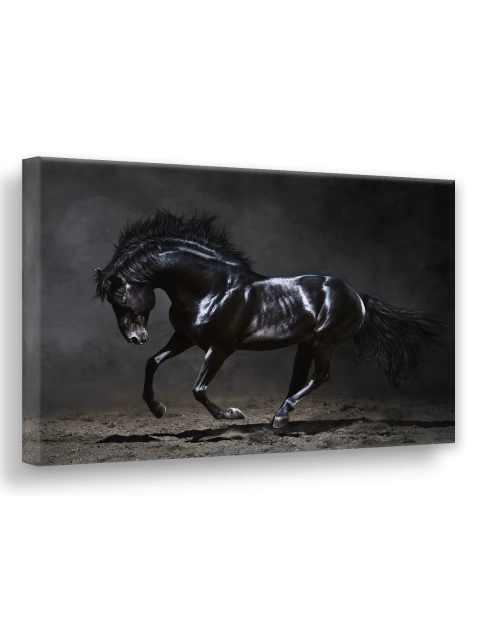 Zdjęcie: Obraz Canvas Silver1 85x113x2,8 cm Ex511 Black Horse STYLER