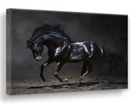 Zdjęcie: Obraz Canvas Silver1 85x113x2,8 cm Ex511 Black Horse STYLER