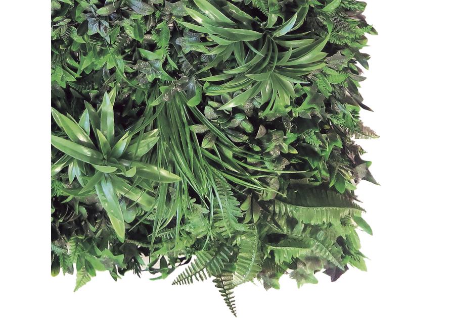 Zdjęcie: Ścianka tropikalna Vertical Tropic, 1x1 m, zielony NORTENE