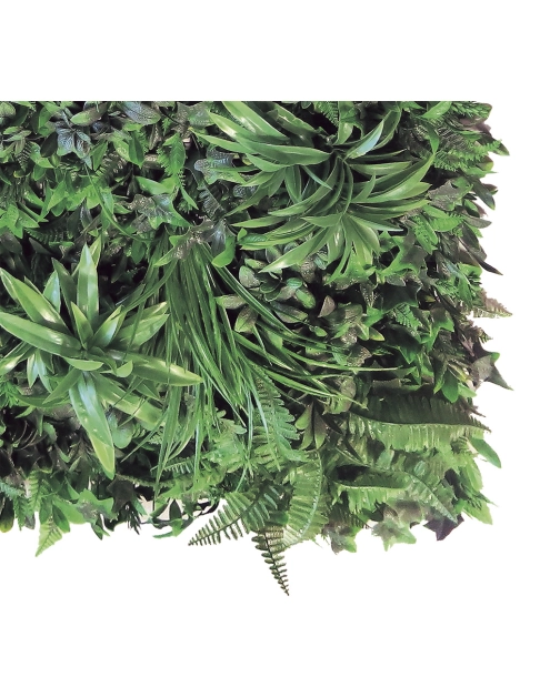 Zdjęcie: Ścianka tropikalna Vertical Tropic, 1x1 m, zielony NORTENE