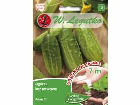 Ogórek Polan F1 taśma 7 m W.LEGUTKO