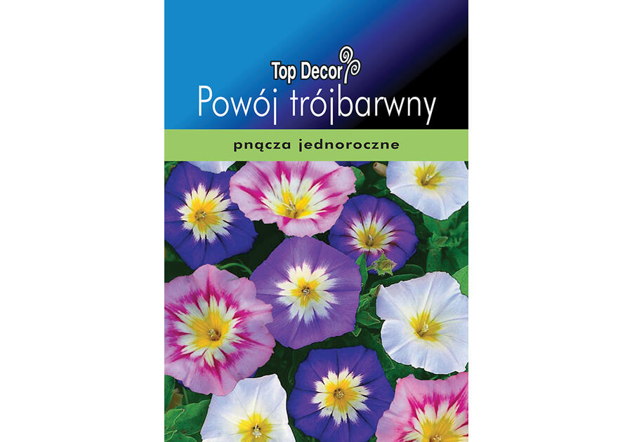 Zdjęcie: Powój trójbarwny TOP DECOR