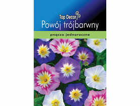 Powój trójbarwny TOP DECOR
