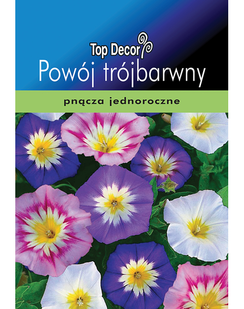 Zdjęcie: Powój trójbarwny TOP DECOR