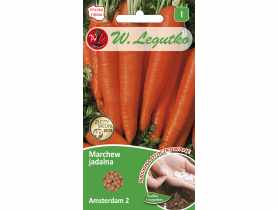 Marchew jadalna Amsterdam 2 nasiona otoczkowane 400 szt. W. LEGUTKO