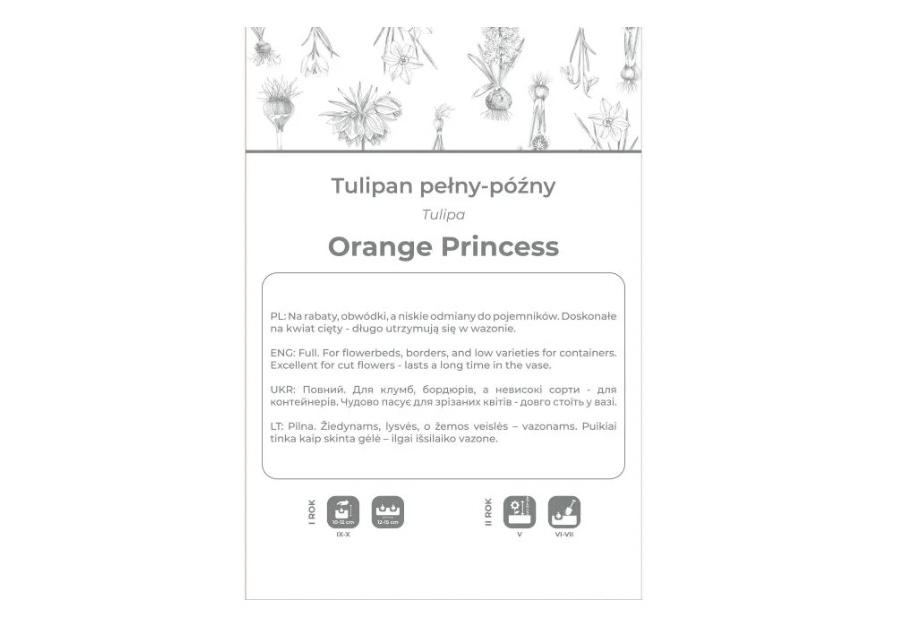 Zdjęcie: Tulipan Orange Princess pomarańczowy 3 sztuki W.LEGUTKO