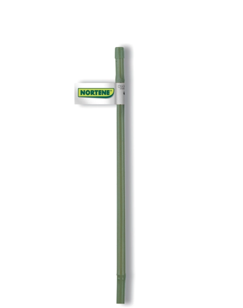 Zdjęcie: Tyczka bambusowa powlekana Bamboo Plast fi7-11 mm x 0,6 m, jasny zielony NORTENE