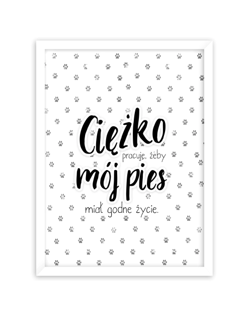 Zdjęcie: Obraz Modernpik2 30x40 cm Fr309 Pies STYLER