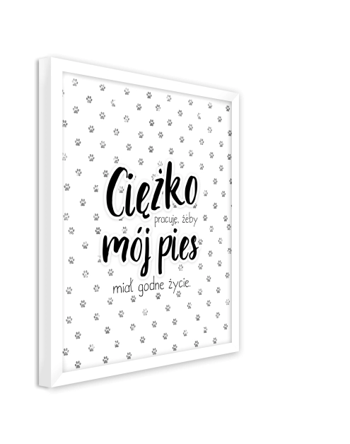 Zdjęcie: Obraz Modernpik2 30x40 cm Fr309 Pies STYLER