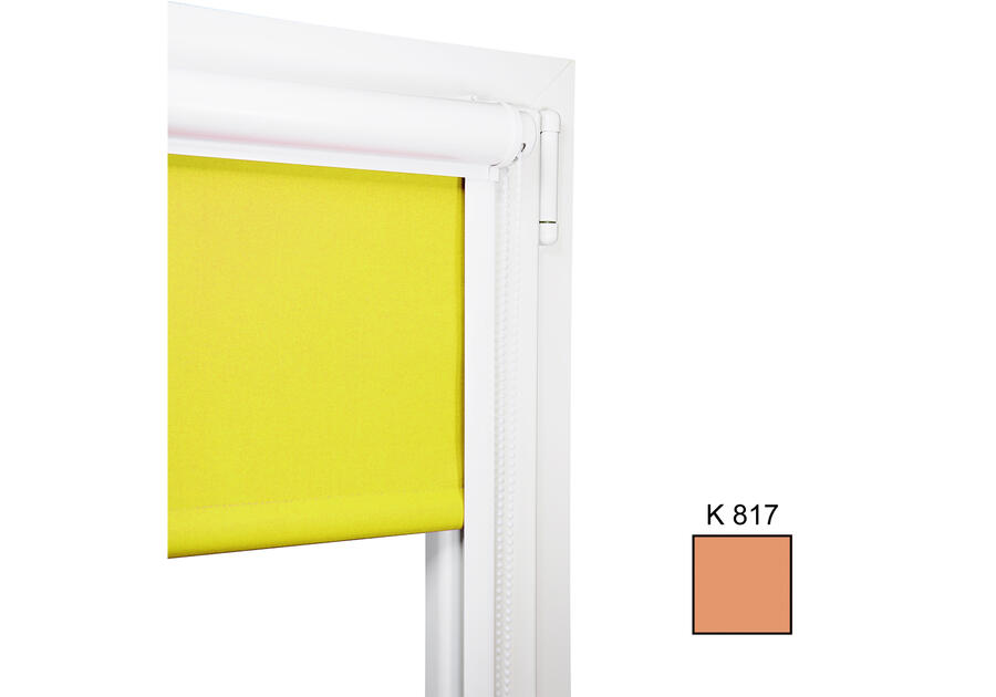 Zdjęcie: Roleta mini K817 w kasetce 120x150 cm KARWEL