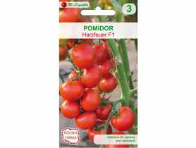Pomidor Harzfeuer F1 W.LEGUTKO