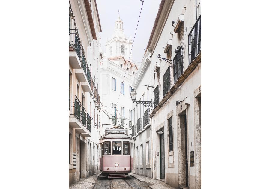 Zdjęcie: Obraz Canvas 60x80 cm Pink Tram STYLER