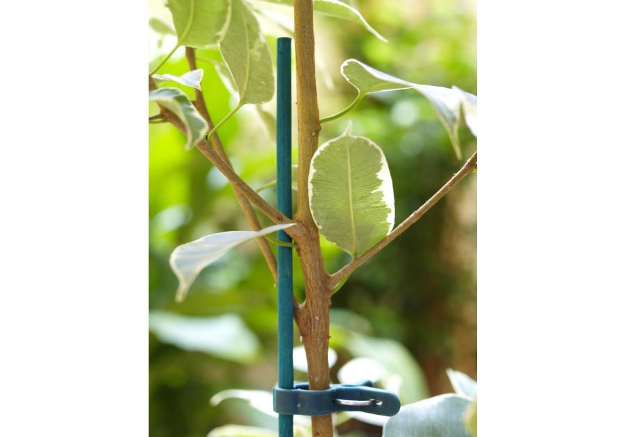 Zdjęcie: Tyczka bambusowa naturalna Split Bamboo 0,40 m, jasny zielony NORTENE