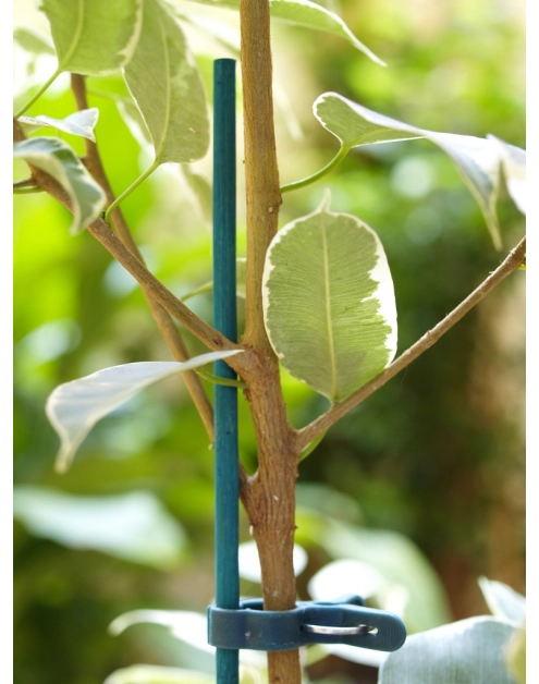 Zdjęcie: Tyczka bambusowa naturalna Split Bamboo 0,40 m, jasny zielony NORTENE