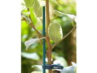 Zdjęcie: Tyczka bambusowa naturalna Split Bamboo 0,40 m, jasny zielony NORTENE