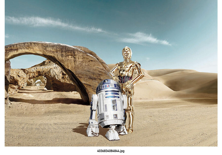 Zdjęcie: Fototapeta Star Wars Lost Droids VENA