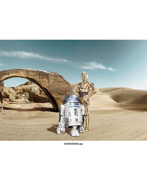 Zdjęcie: Fototapeta Star Wars Lost Droids VENA