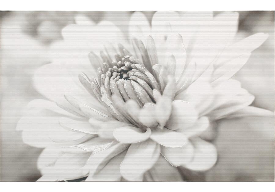 Zdjęcie: Płytka dekor Garda flower 25x40 cm CERSANIT