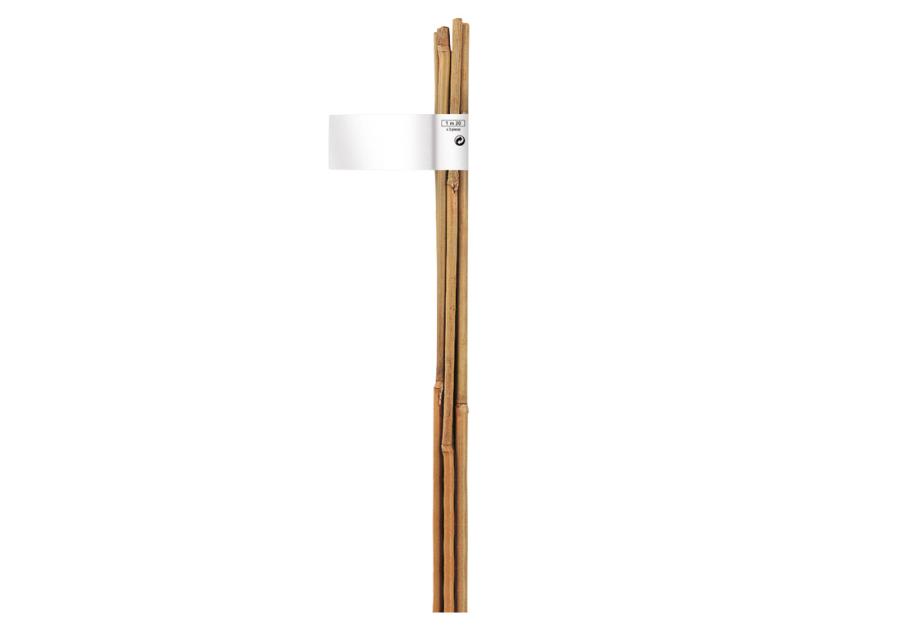 Zdjęcie: Tyczka bambusowa naturalna Bamboo fi10-12 mm x 1,2 m, naturalny NORTENE