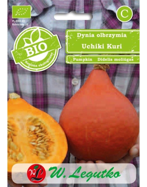 Zdjęcie: Dynia olbrzymia Uchiki Kuri pomarańczowe W. LEGUTKO