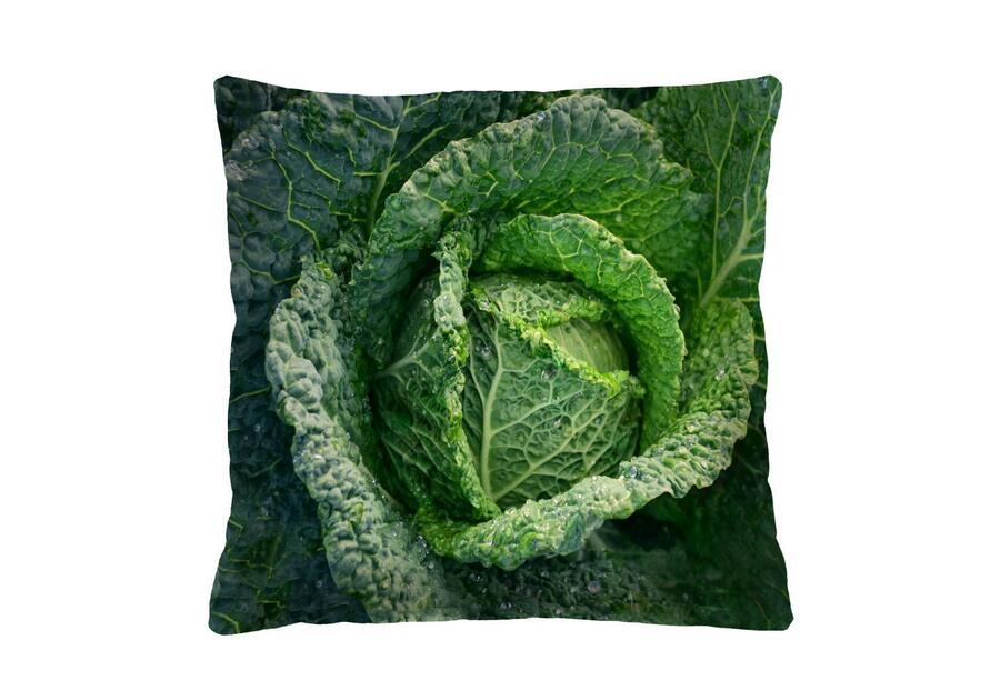 Zdjęcie: Poduszka Cabbage 40x40 cm BERTONI