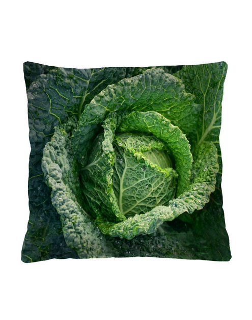 Zdjęcie: Poduszka Cabbage 40x40 cm BERTONI