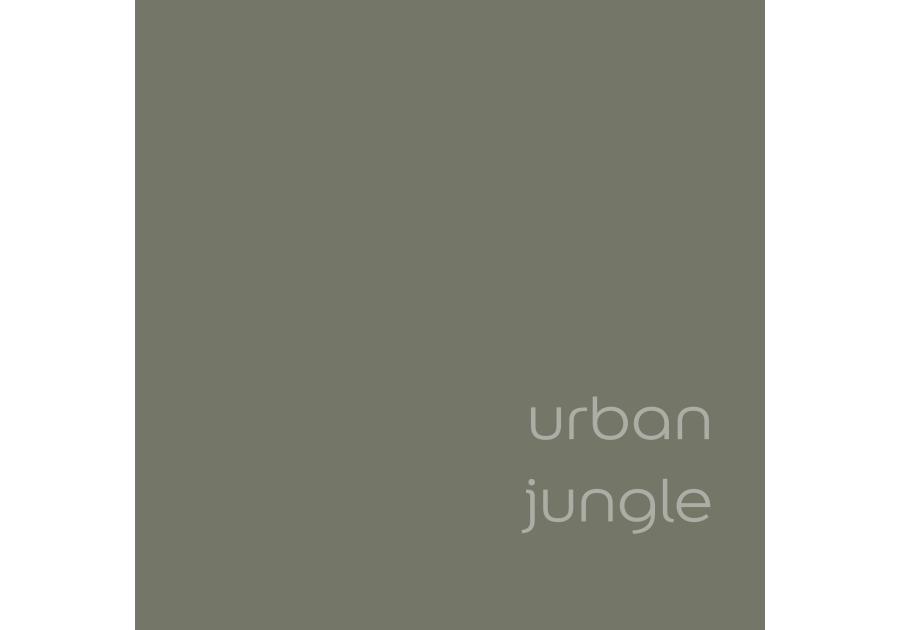 Zdjęcie: Farba lateksowa EasyCare+ Urban Jungle 2,5 L DULUX