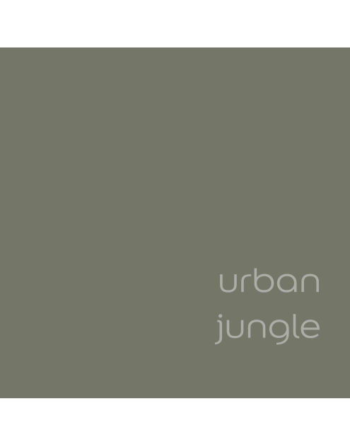 Zdjęcie: Farba lateksowa EasyCare+ Urban Jungle 2,5 L DULUX