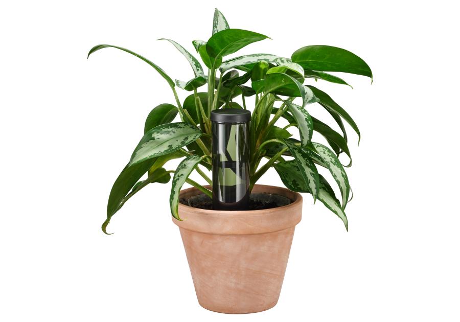 Zdjęcie: Dozownik wody 350 ml Plant Care FISKARS