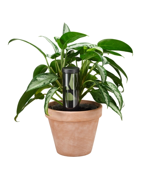 Zdjęcie: Dozownik wody 350 ml Plant Care FISKARS