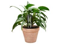 Zdjęcie: Dozownik wody 350 ml Plant Care FISKARS