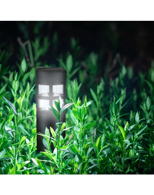 Zdjęcie: Lampa solarna LED Mark SANICO