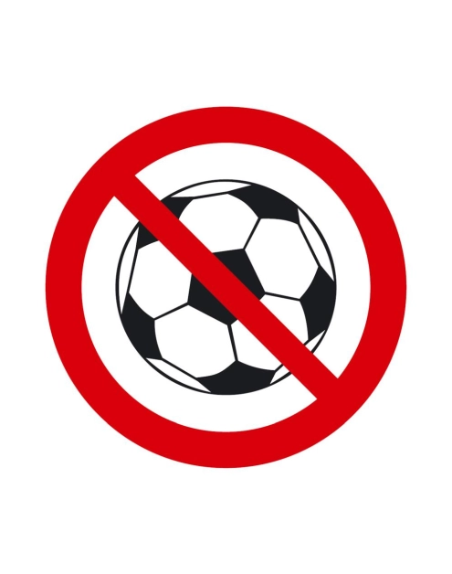 Zdjęcie: Oznaczenie "Zakaz gry w piłkę" 15x15 cm folia nieświecąca METRO
