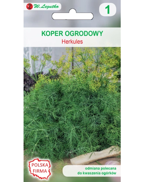 Zdjęcie: Koper ogrodowy Herkules nasiona tradycyjne 5 g W. LEGUTKO