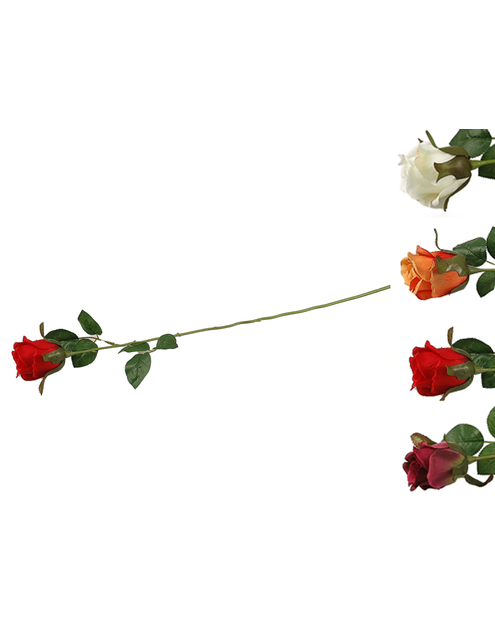 Zdjęcie: Róża pojedyncza CV15151-MIX TOP GIFTS