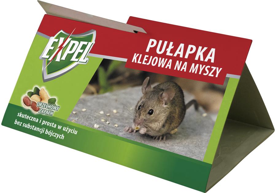 Zdjęcie: Pułapka klejowa na myszy EXPEL