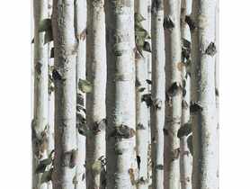 Tapeta Ugepa brzozy J21517 POLAMI