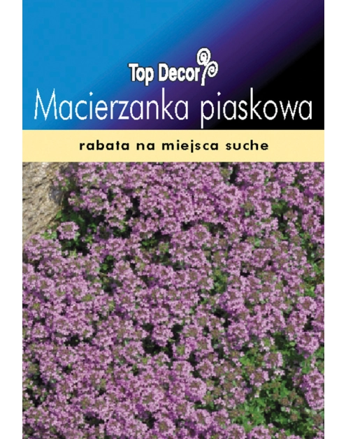 Zdjęcie: Macierzanka piaskowa TOP DECOR