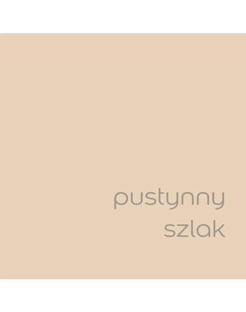 Zdjęcie: Tester farby EasyCare Kuchnia&Łazienka 0,03 L pustynny szlak DULUX