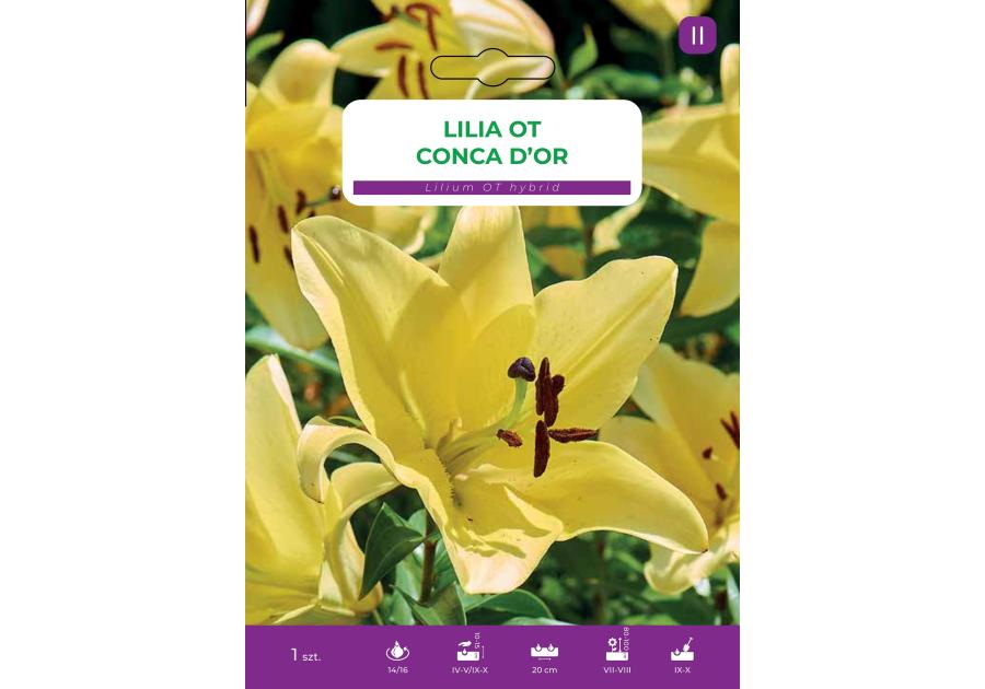 Zdjęcie: Lilia Conca Dor LEGUTKO