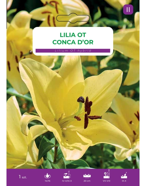 Zdjęcie: Lilia Conca Dor LEGUTKO