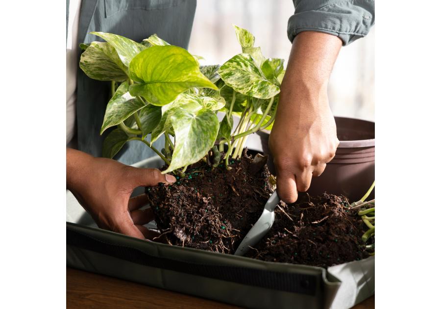 Zdjęcie: Składana mata do sadzenia roślin Plant Care zielona FISKARS