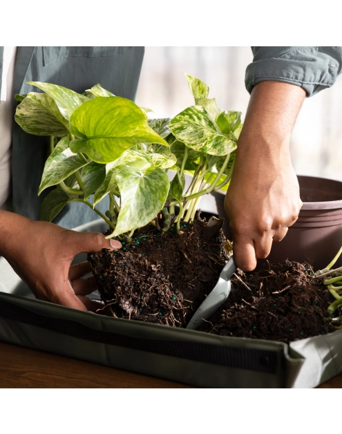 Zdjęcie: Składana mata do sadzenia roślin Plant Care zielona FISKARS