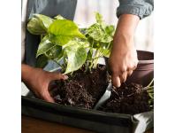 Zdjęcie: Składana mata do sadzenia roślin Plant Care zielona FISKARS