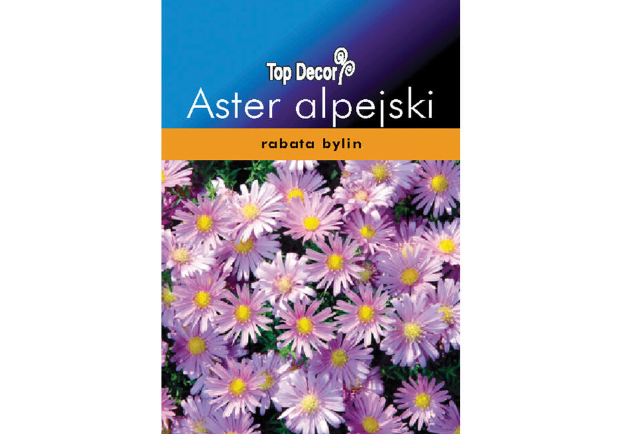 Zdjęcie: Aster alpejski TOP DECOR