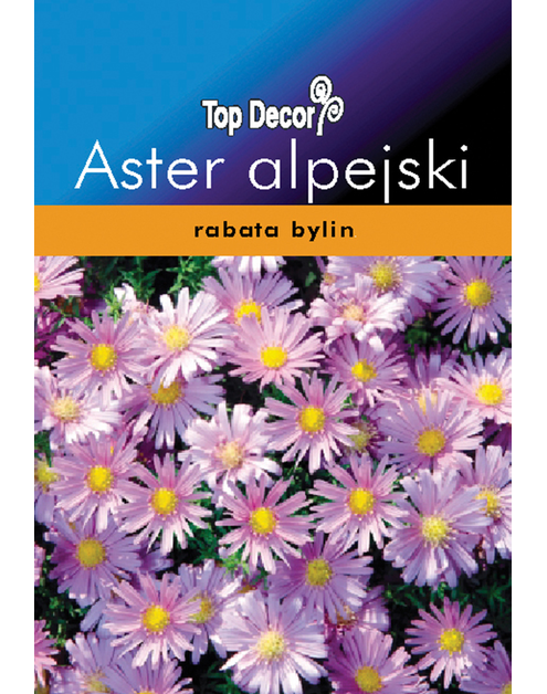 Zdjęcie: Aster alpejski TOP DECOR