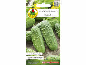 Ogórek gruntowy Hela  F1 2G PNOS
