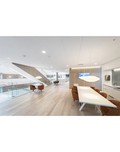 Zdjęcie: Płyta sufitowa Blanka A15/24 600x600x20 mm akustyczny sufit podwieszany ROCKFON