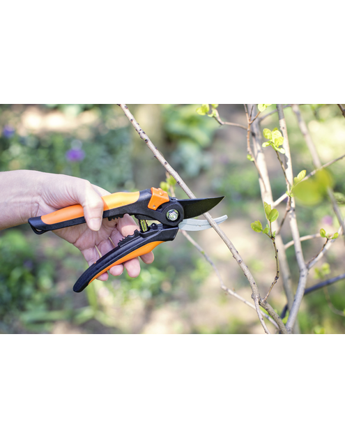 Zdjęcie: Sekator do gałęzi 72 cm VERDENIA