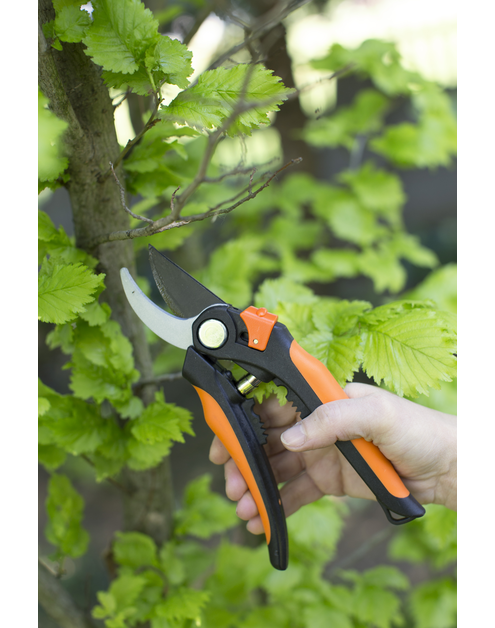 Zdjęcie: Sekator do gałęzi 72 cm VERDENIA
